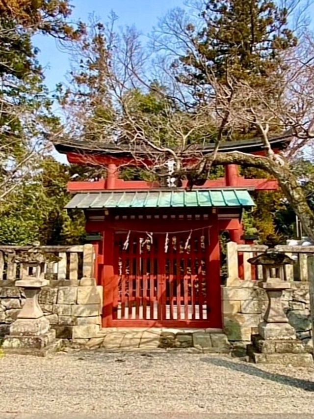 เยือนศาลเจ้านุกิซากิ อิจิโนะมิยะ