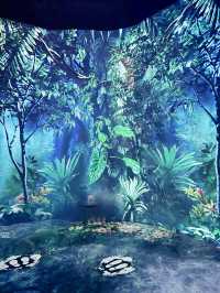 “Discover the Hidden Forest & Crystal Mountain”