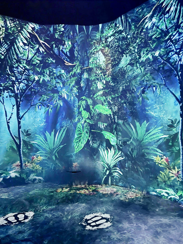 “Discover the Hidden Forest & Crystal Mountain”