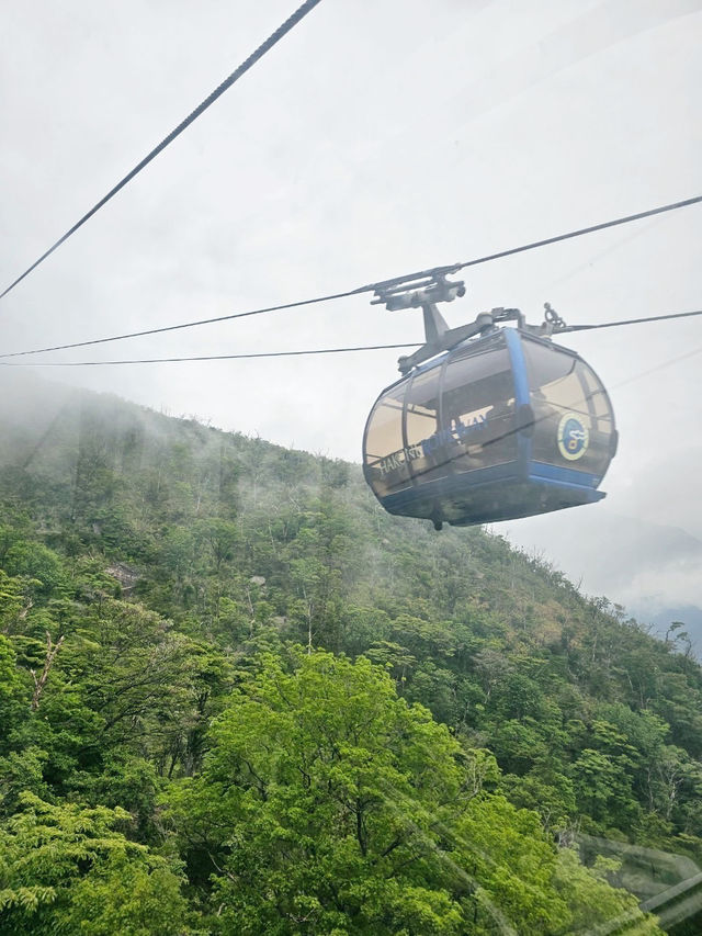 箱根必吃黑蛋在這！搭纜車賞地熱景超震撼🚡