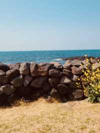A Rugged Coastal Gem of Volcanic Formations