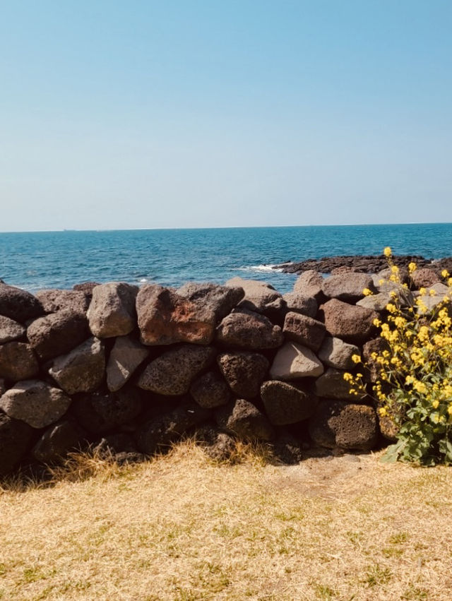 A Rugged Coastal Gem of Volcanic Formations