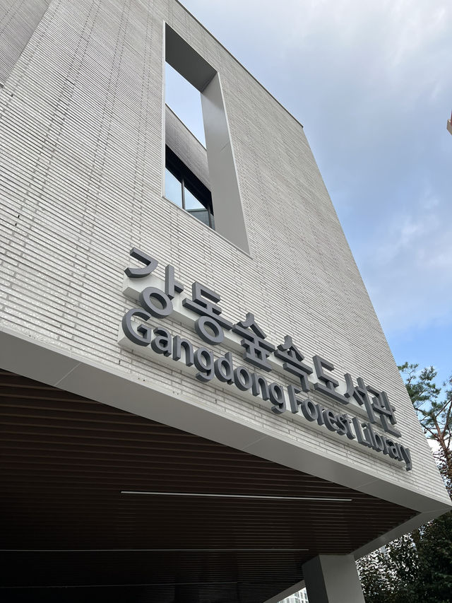 도서관과 숲속 공원
