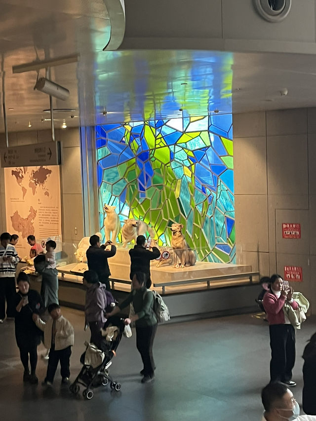 ShanghaiNaturalHistoryMuseum ไดโนเสาร์คือเท่สุด🦖🌿