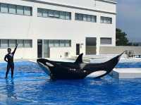 神戸市立須磨海浜水族園 Kobe Suma Seaworld