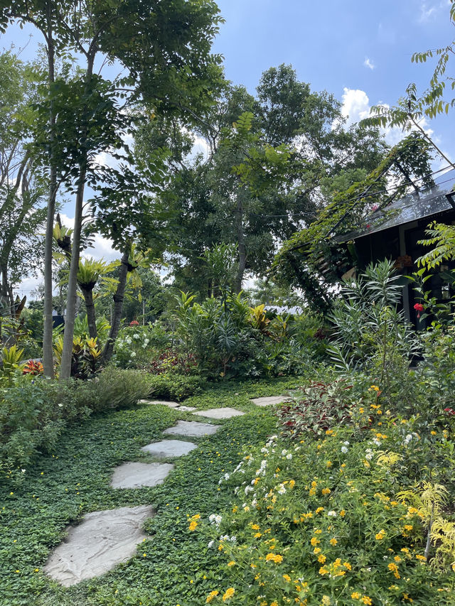 Butterfly Garden in Nuanu