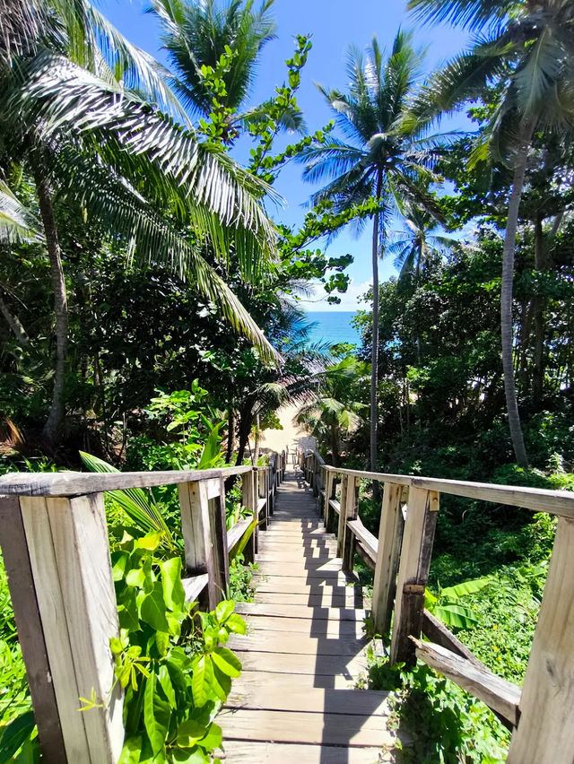 Naiton Beach Wooden Bridge