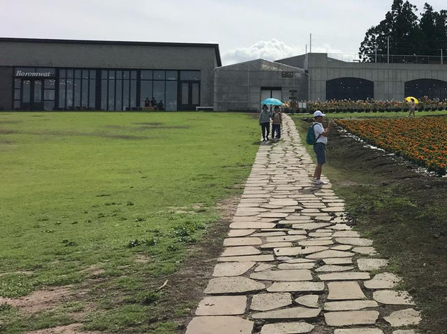 Jeju’s Hidden Gem: Boromwat’s Stunning Hydrangeas 