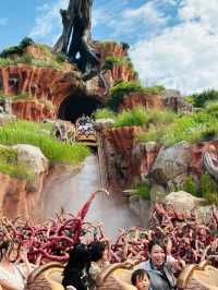 Dreams in Japanese: Discovering Tokyo Disneyland