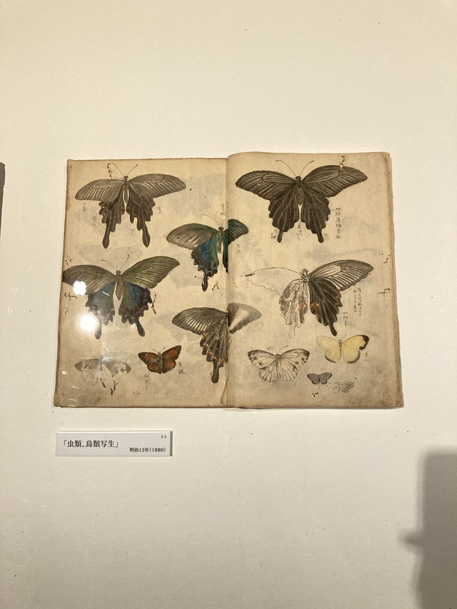 愛知県美術館「近代日本画のトップランナー竹内栖鳳」