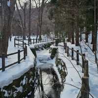 Sapporo in a Day: Culture, Cuisine & City Highlights