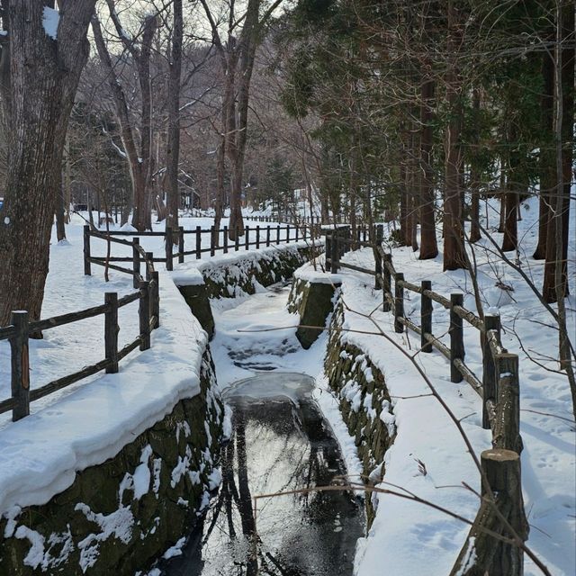 Sapporo in a Day: Culture, Cuisine & City Highlights