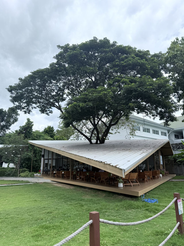 📍Living a dream cafe & playground ที่นี่สวยมากกกก
