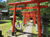 Akita City: A Charming Escape in Northern Japan! 🍂🐕🍶