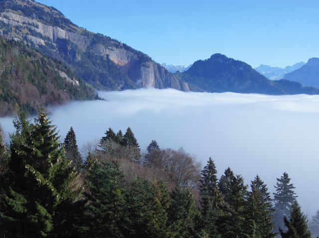 🏞️ Breathtaking Views from the Top of Mount Rigi