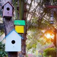 TM Farm Yangon: A Solo Traveler's Rustic Escape on a Budget** 🌿🚜