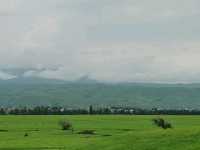 Nalati Jinling Resort：Grassland Expanse, Spirits Soar