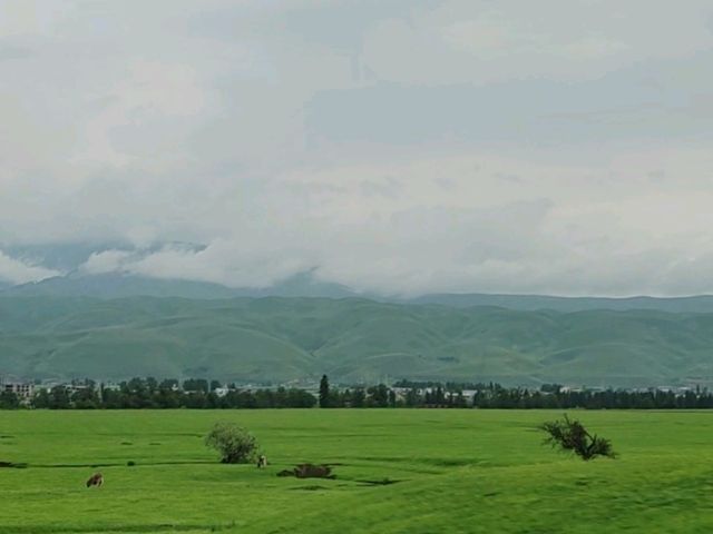 Nalati Jinling Resort：Grassland Expanse, Spirits Soar