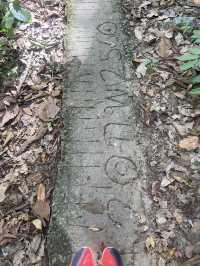 จุดชมวิวผาแดง ดอยกาน อำเภอบ้านโฮ่ง จังหวัดลำพูน