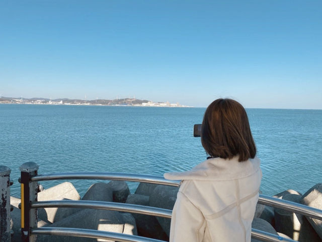 광안리 vs 기장 바다, 어디가 더 좋을까? 🤔🌊 