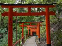 【上賀茂神社】京都最古の神社で心清める⛩️神聖な空気に包まれる癒しの旅