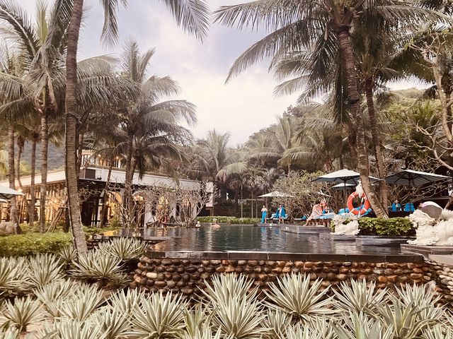 🐒 峴港洲際度假酒店：與猴子鄰居say hi！獨享絕美私人海灘！🌴