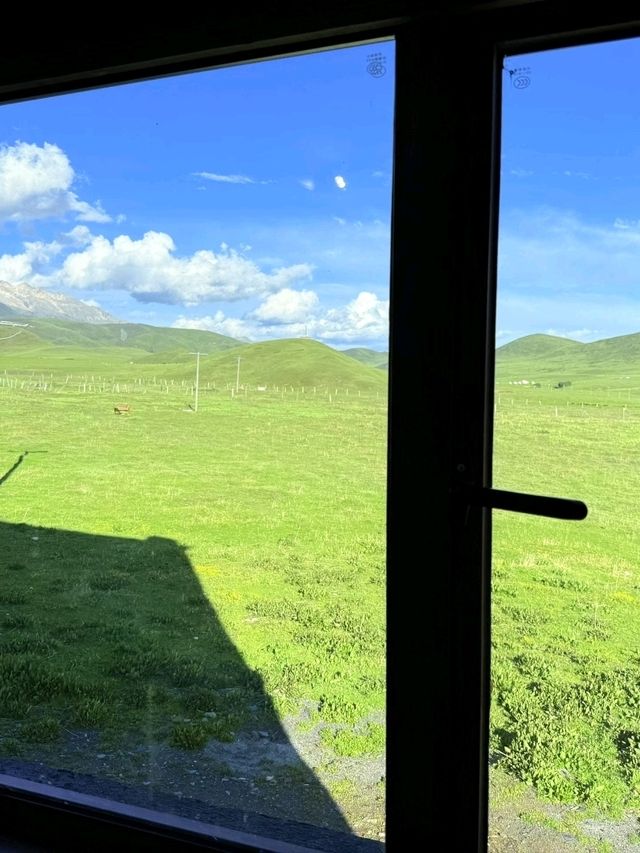 Yuzi West Grassland