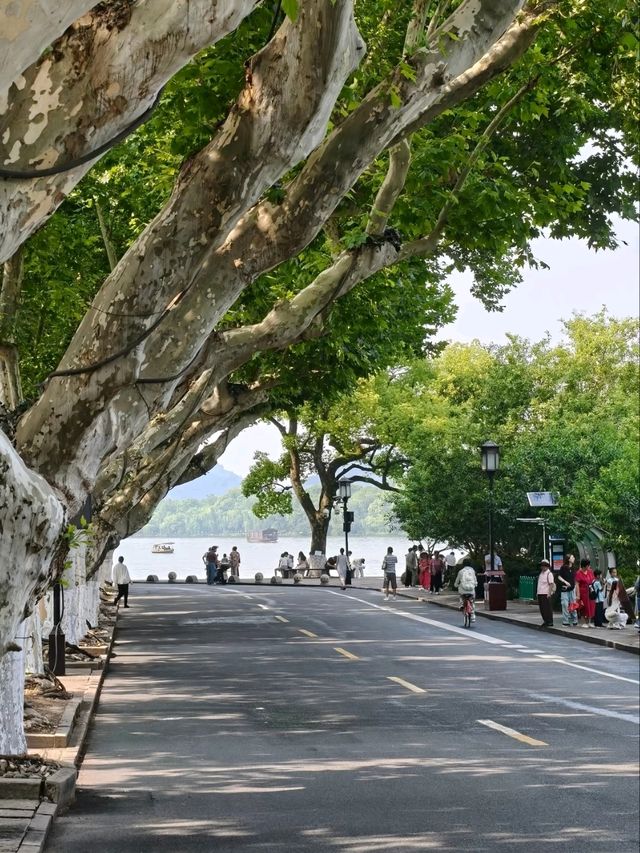 Lotus at Xiling Bridge– Hangzhou’s Most Literary Waterscape