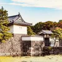 🏯 Step into History: Solo Visit to Tokyo Imperial Palace! 🇯🇵