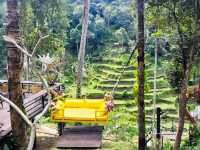 Bali's Scenic Gem: Tegalalang Rice Fields
