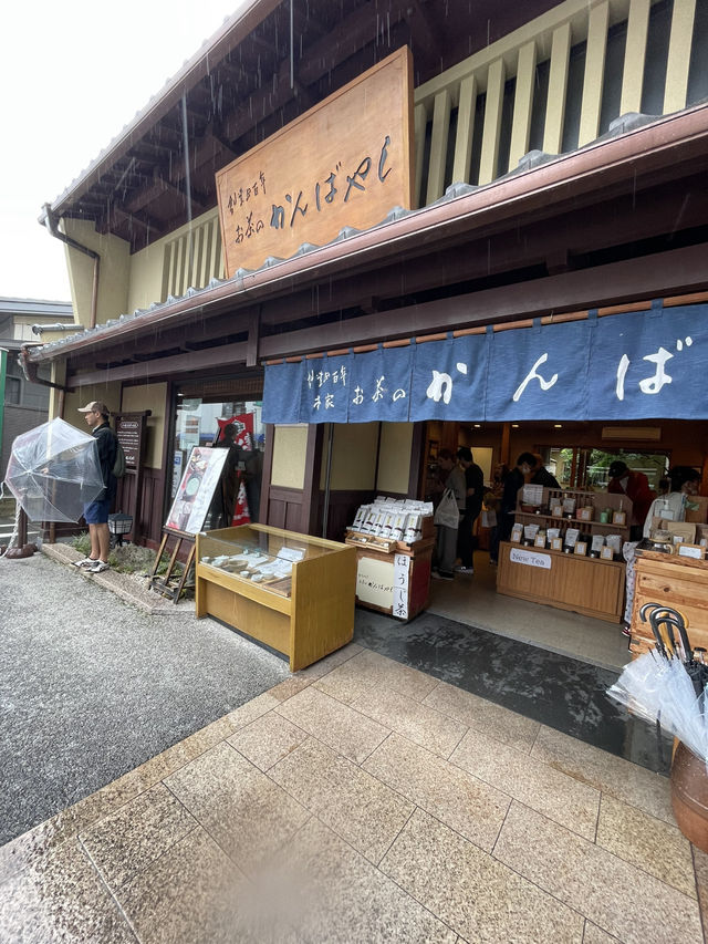 🍵Uji เมืองมัจฉะ ใกล้ Kyoto | จิบมัจฉะ ช้อปของฝาก🍃