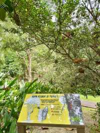 Refined Calm in the City: Oasis Garden Experience 