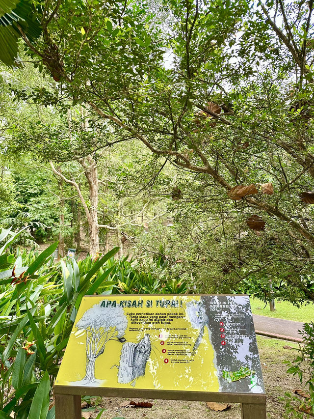 Refined Calm in the City: Oasis Garden Experience 