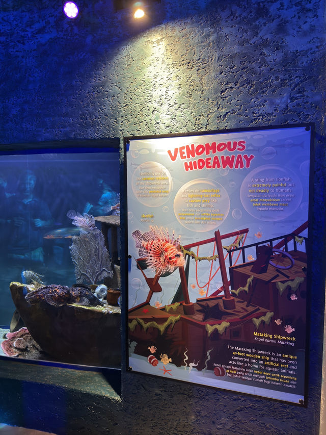 Mataking Shipwreck & The Hypnotic Lionfish 🌊🦁🐟