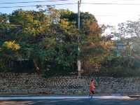 Itinerary for a meaningful 1-day trip to Vung Tau for you