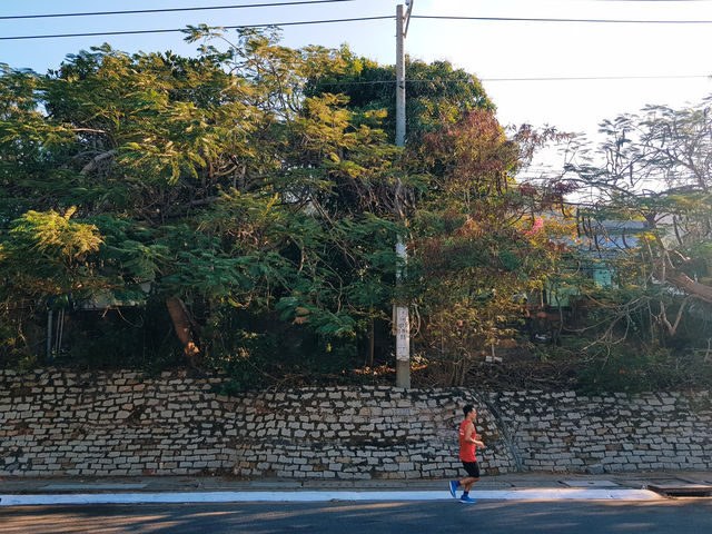 Itinerary for a meaningful 1-day trip to Vung Tau for you
