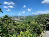 Zhangshu Trail in Wenshan, Chill Walks and Tree Vibes All Day
