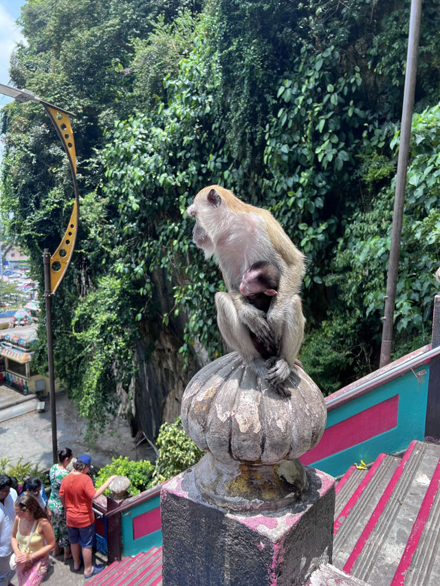 ［吉隆坡旅遊］黑風洞Batu Caves-印度教朝聖之地🪷馬來西亞必訪🐒