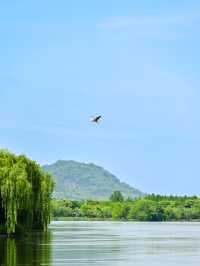 Shaoxing｜Tea by the River at Keqiao Ancient Town – A Hidden Gem for Slow Living