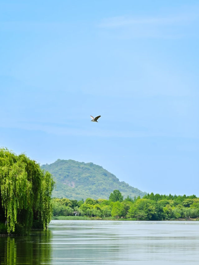 Shaoxing｜Tea by the River at Keqiao Ancient Town – A Hidden Gem for Slow Living