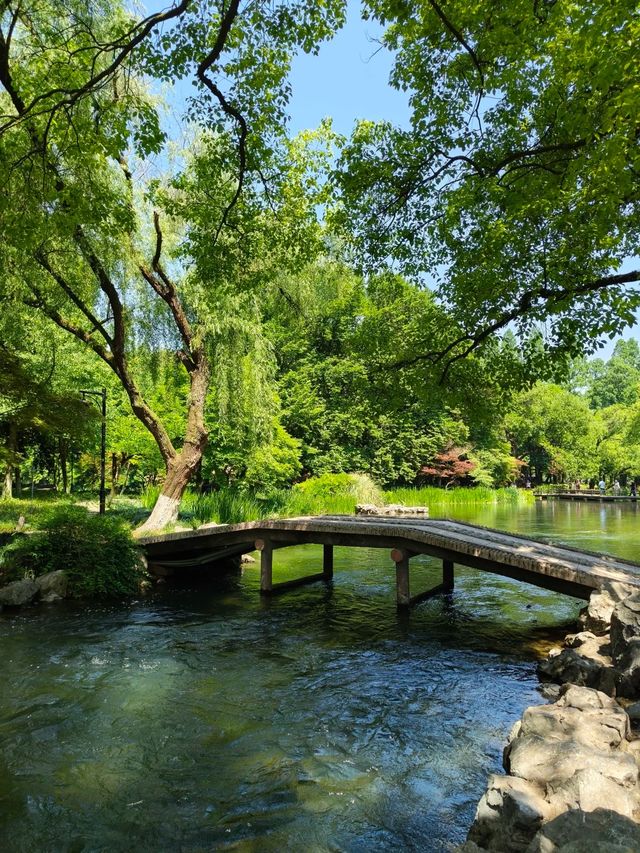 東灘濕地公園—綠化生境 東灘濕地公園—綠化生境