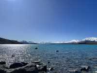 紐西蘭旅遊—🌊 Lake Tekapo Scenic｜藍色湖畔的無邊詩意