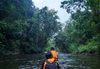 Taman Negara – Hanging Out with a 130-Million-Year-Old Legend