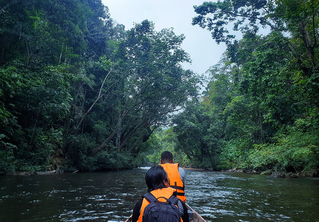 Taman Negara – Hanging Out with a 130-Million-Year-Old Legend