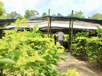 🌿 Sungai Lembing Retreat House – A Charming Malay-Style Getaway 🏡