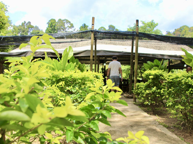 🌿 Sungai Lembing Retreat House – A Charming Malay-Style Getaway 🏡