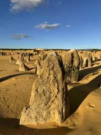 Pinnacles Desert- Out of this world view