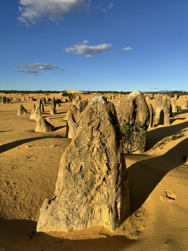 Pinnacles Desert- Out of this world view