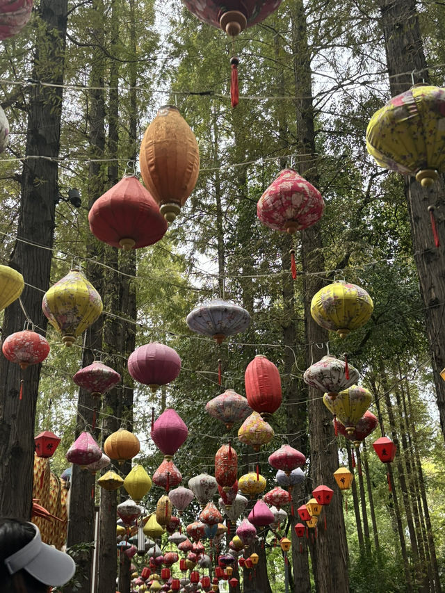 Chengdu People’s Park – Secret Spot! 💎😱