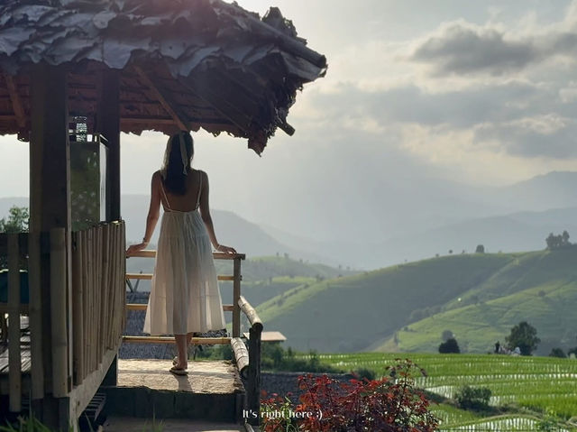 ดาวบ้านดอย โฮมสเตย์ป่าบงเปียง 💚🌾